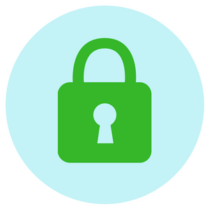 SSL Secure Online Shopping
